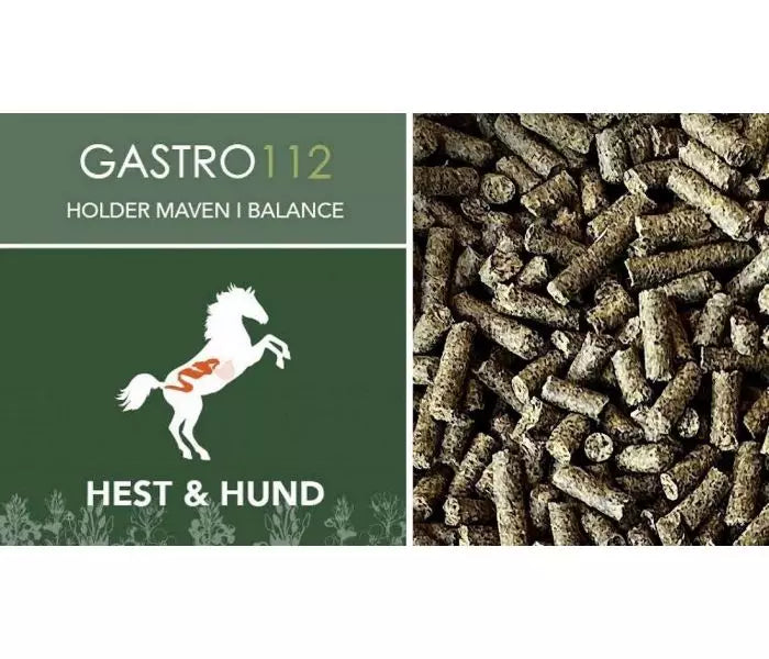Gastro 112