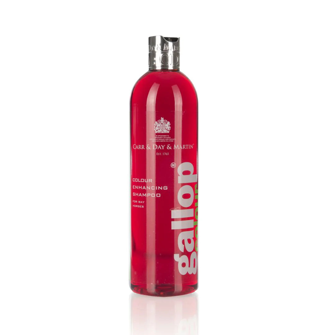 CDM gallop shampoo Bay Horses