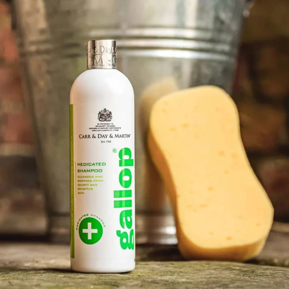 CDM Gallop Medicated Shampoo