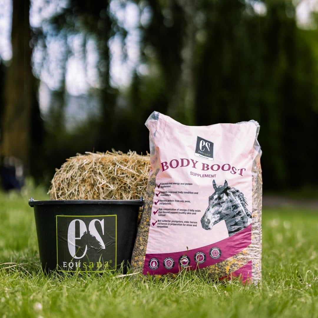 Equsana Body Boost