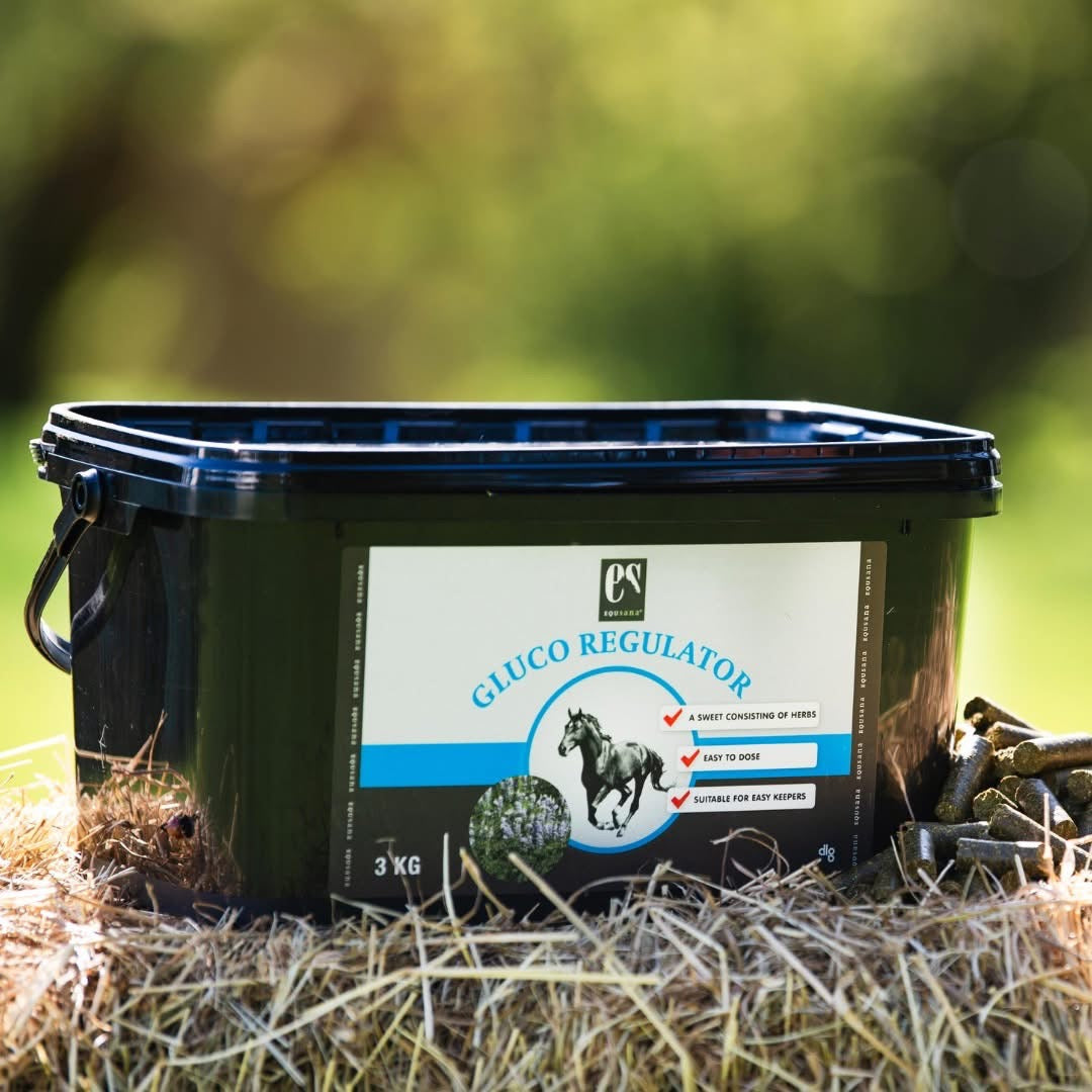 Equsana Gluco regulator