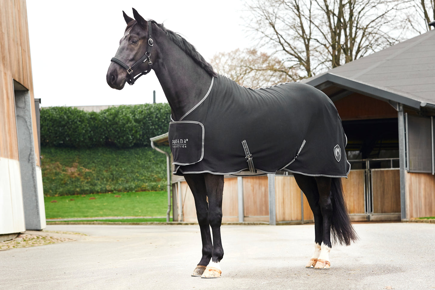 Equsana jersey showdækken, Sort