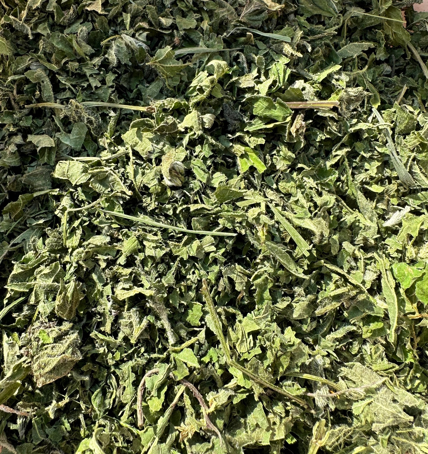 Tørket og finmalt Brennesle. 150 g