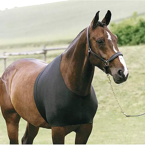 HorseGuard Bogbeskytter