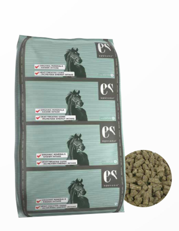 Equsana Rocky