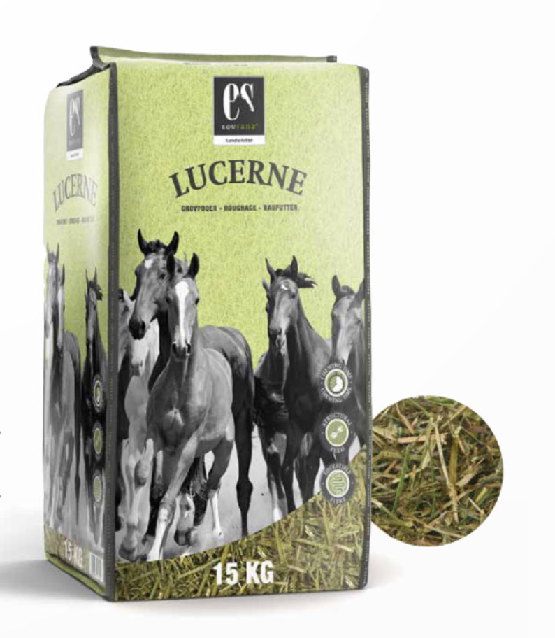 Equsana Lucerne