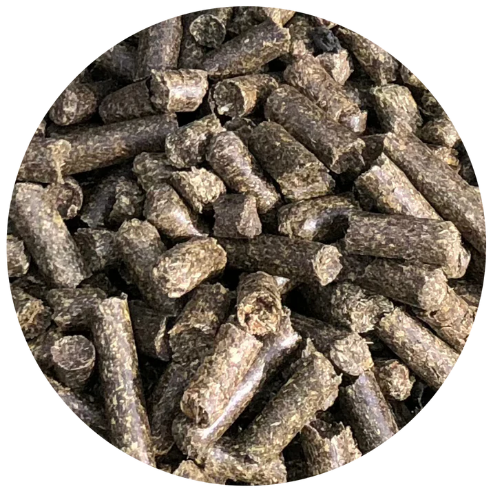 Nordic E-Cobs (Esparsette)