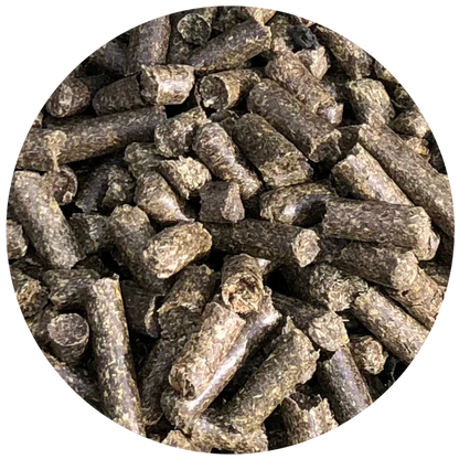 Nordic E-Cobs (Esparsette)